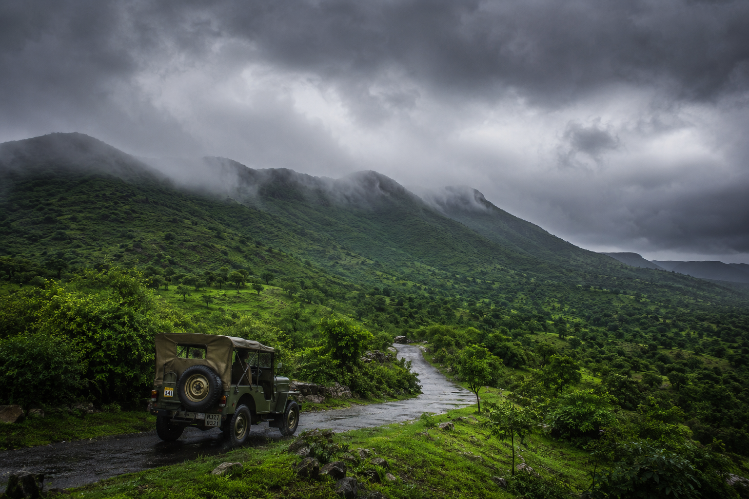 When the Monsoon Comes to the Aravallis